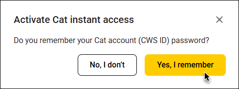 cat-instant-access-prompt3.png